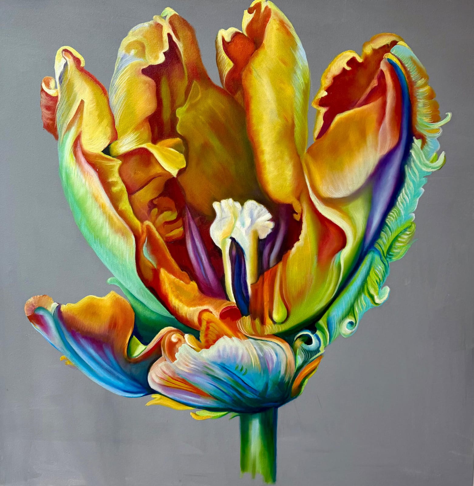 Tulpe Nr. 8