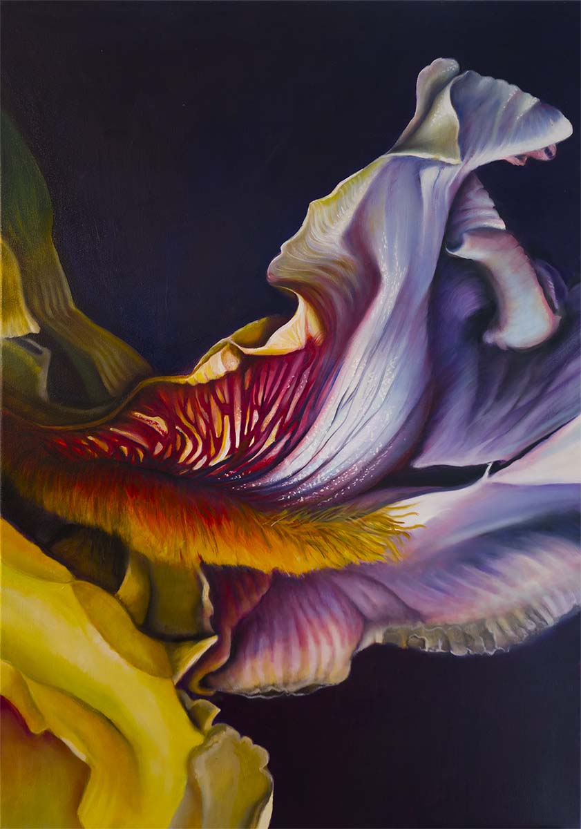 Eine Reise in die Natur B-1