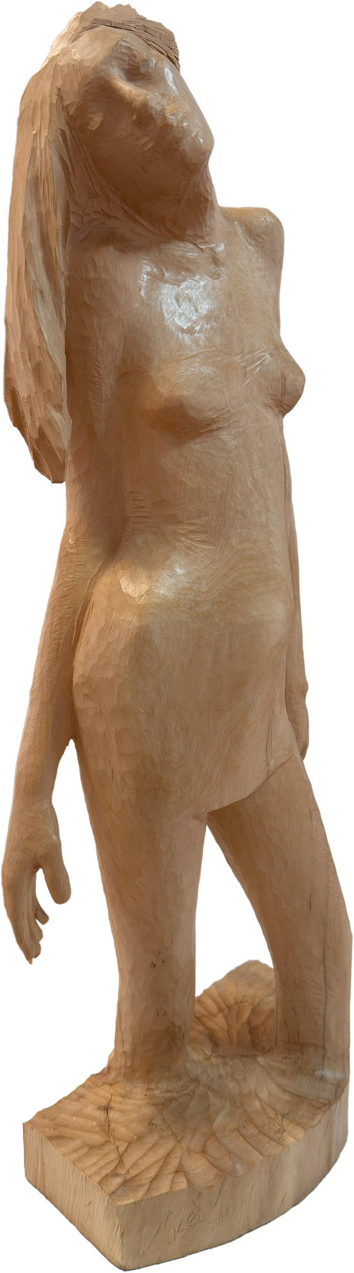 Girl Coming Out of the Water