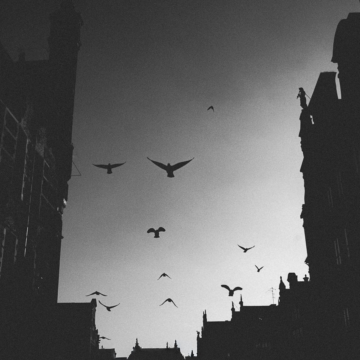 Urban Freedom