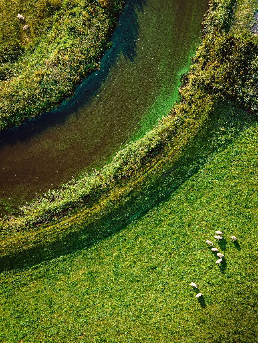 Polder Green