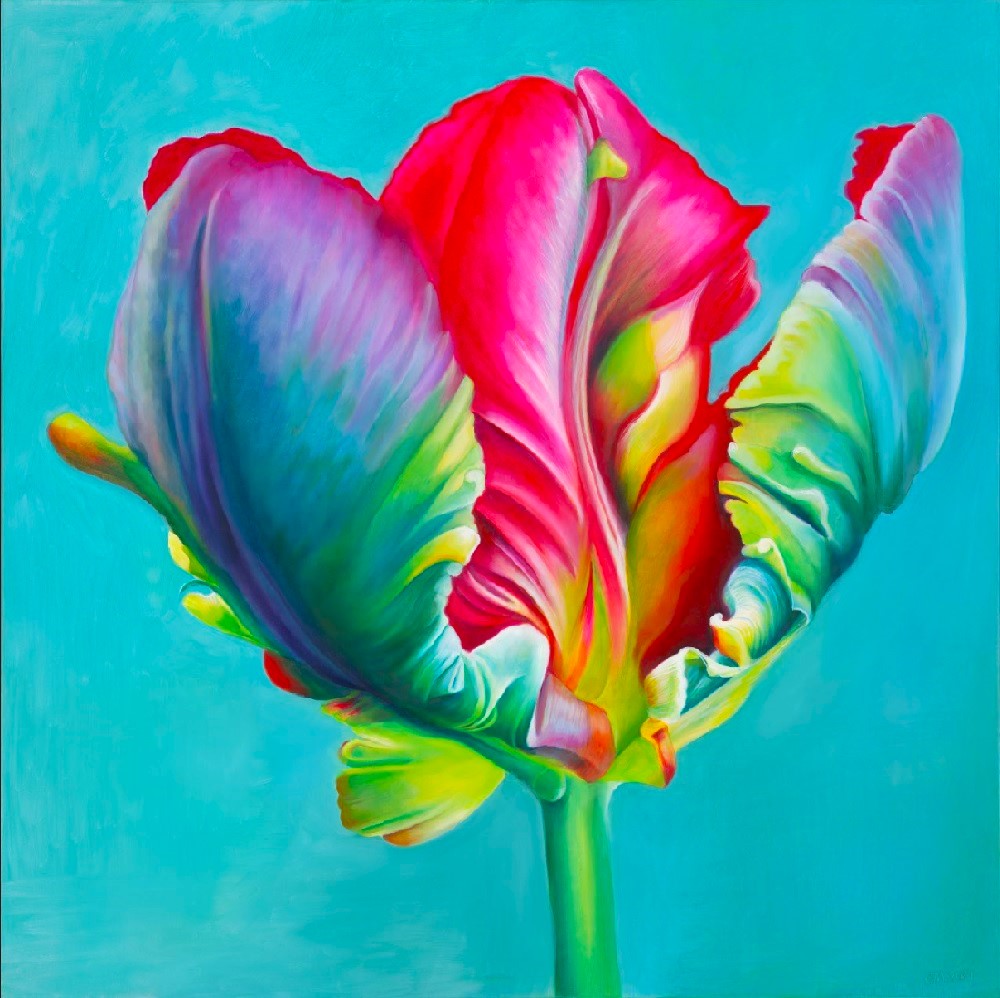 Tulpe II