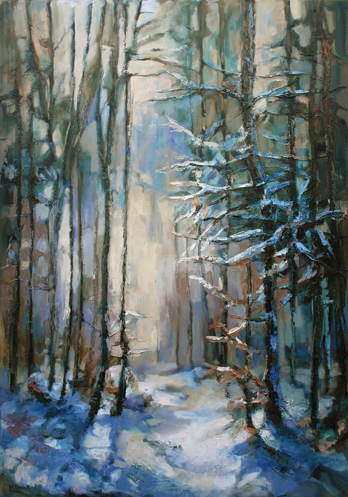 The interior of the forest