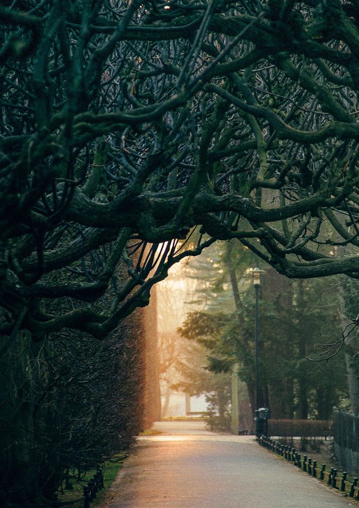 Park Oliwski am Morgen